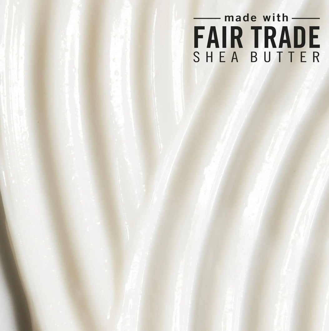 Shea Moisture Coconut & Hibiscus Curl & Shine Duo – Shampoo + Acondicionador para Rizos Definidos e Hidratados